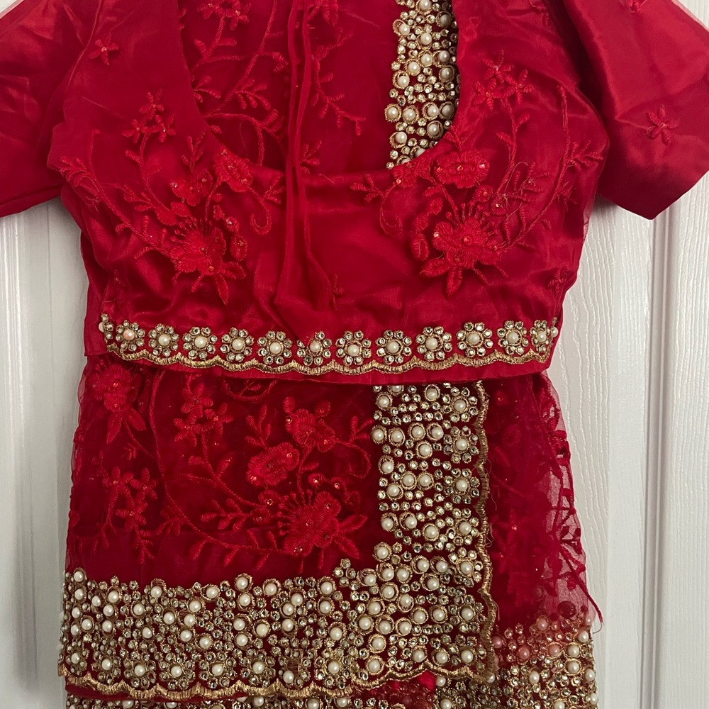 STUNNING Red Embroidered Traditional Net Saree with Gold Accents and Pearls